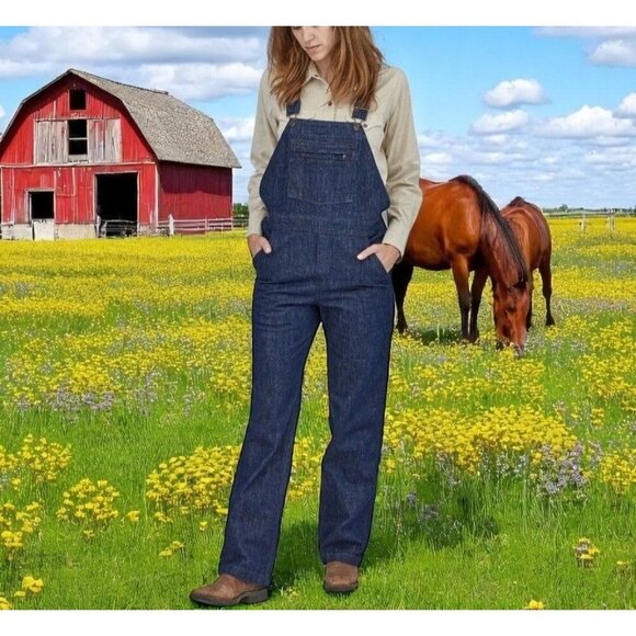 PATAGONIA Worn Wear Steel Forge Denim Overalls - Picture 1 of 15